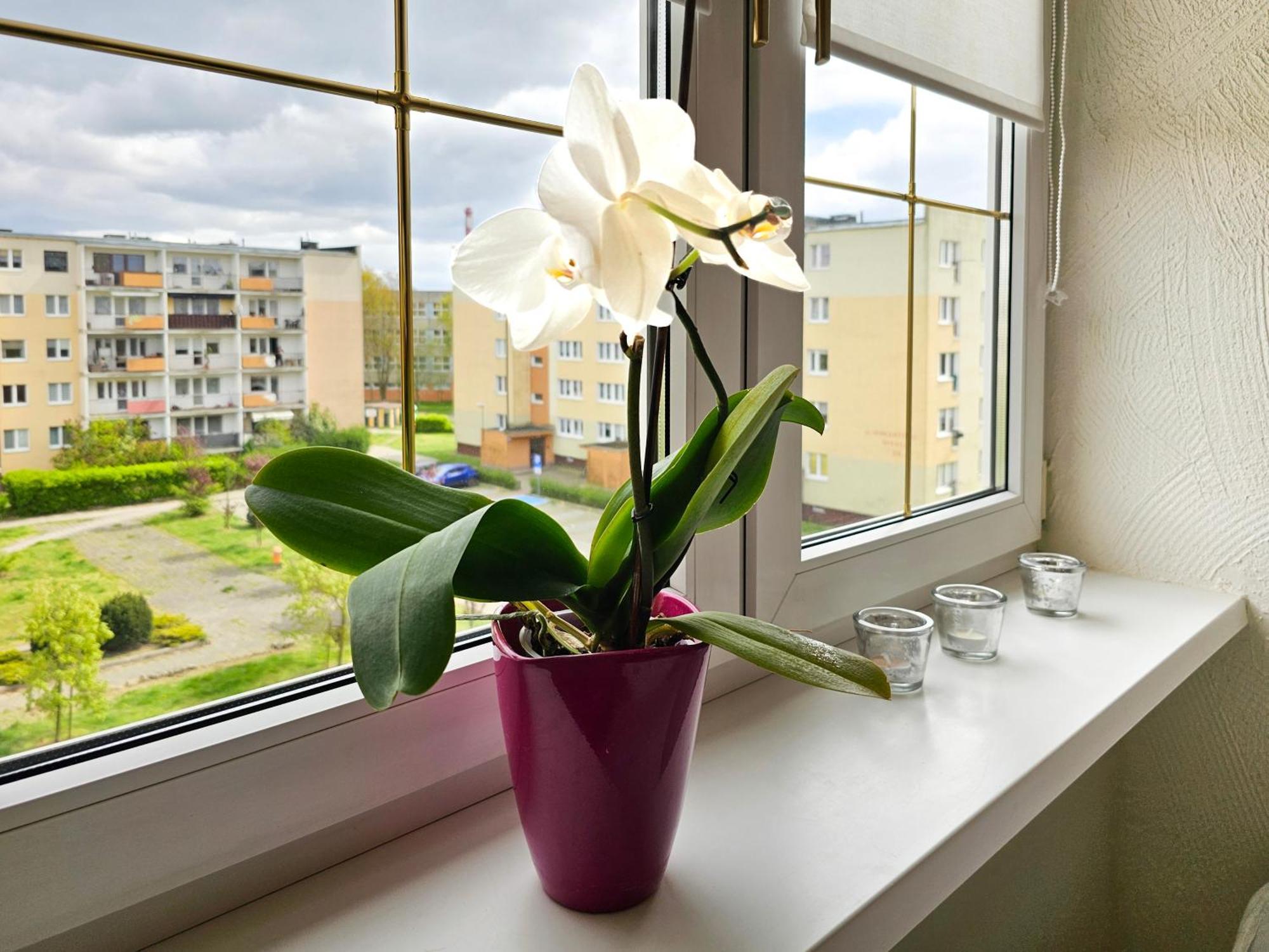 Visit Baltic - Apartament Sunny Swinoujscie Ngoại thất bức ảnh